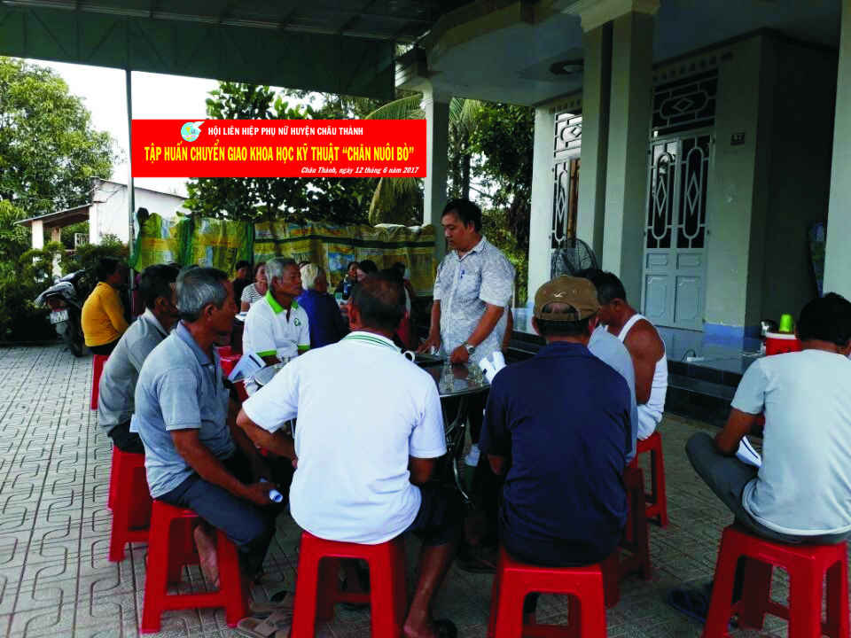 Châu Thành: tổ chức tập huấn kiến thức chuyển giao khoa học về chăn nuôi bò sinh sản