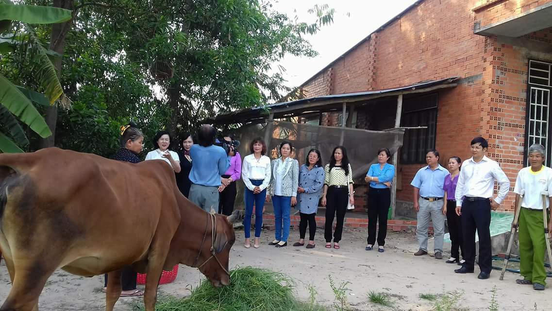 HỘI LHPN HUYỆN GÒ DẦU: TRAO BÒ SINH SẢN CHO PHỤ NỮ NGHÈO