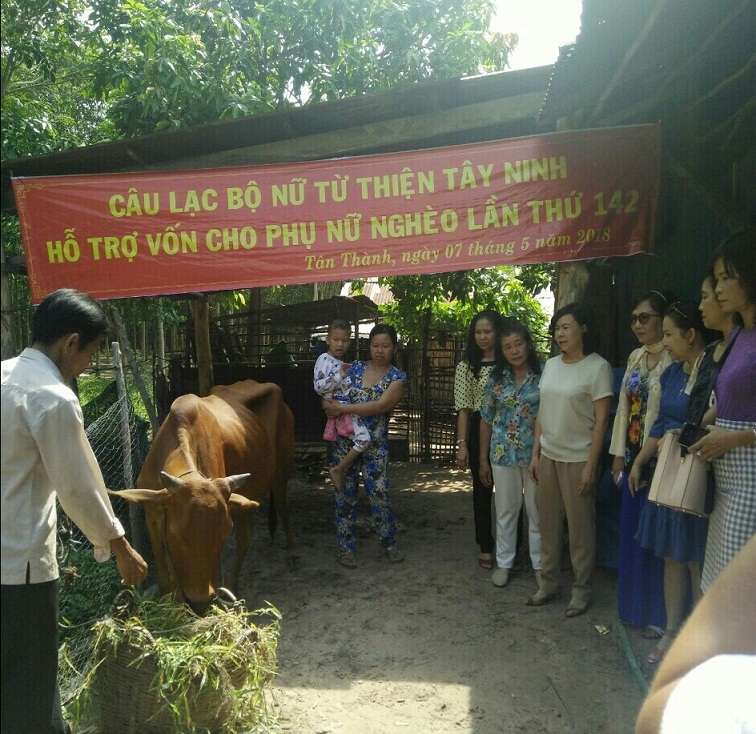 Tân Châu: Trao bò sinh sản cho phụ nữ nghèo