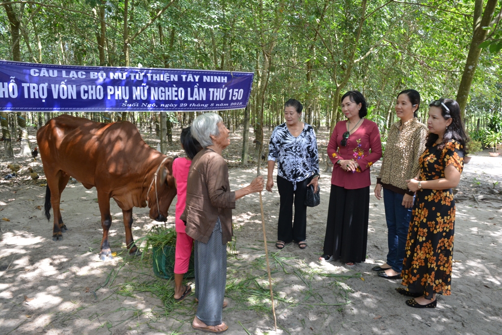 Suối Ngô: trao bò sinh sản cho phụ nữ nghèo