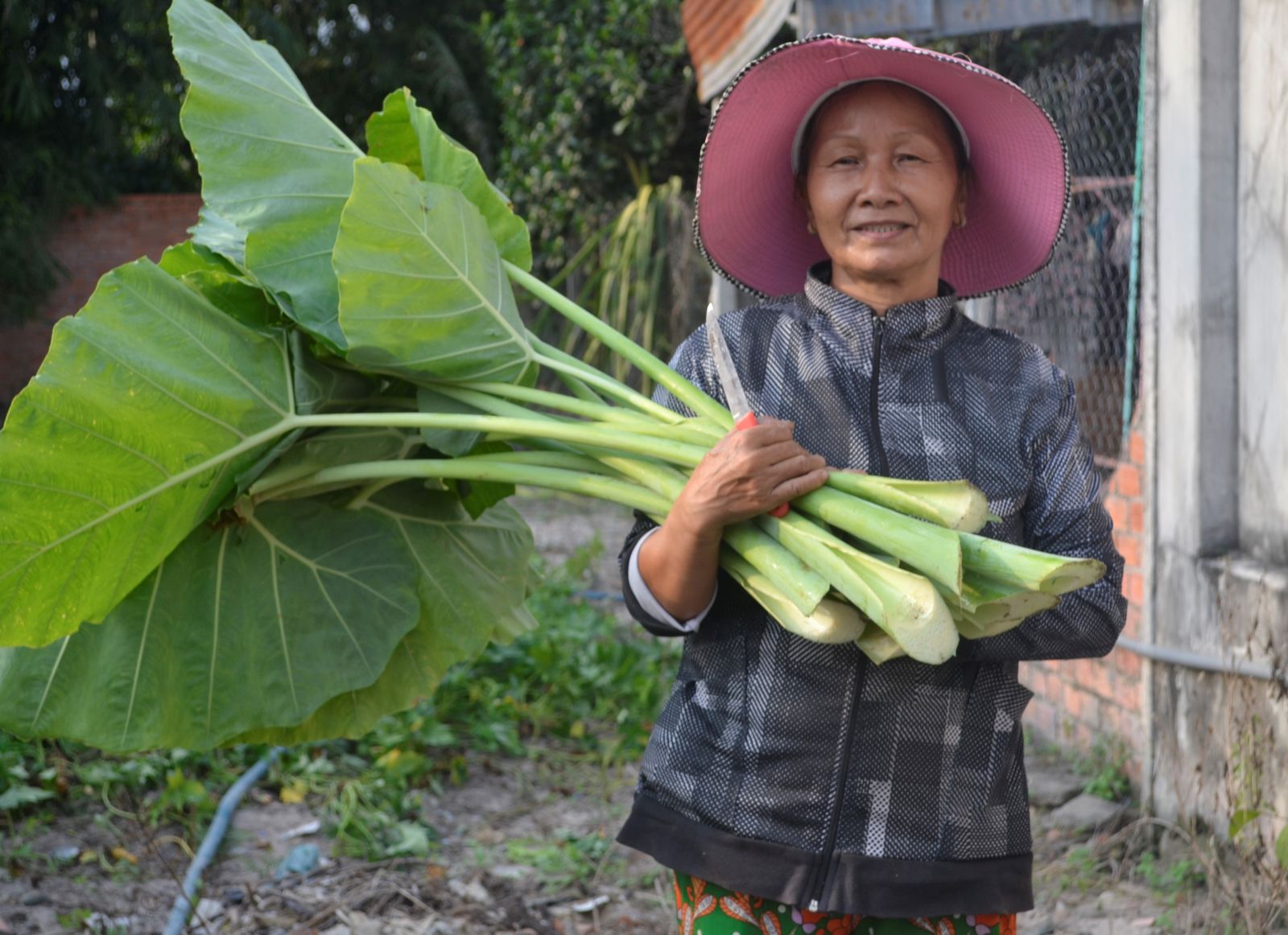 Vườn rau sạch vì nữ sinh nghèo