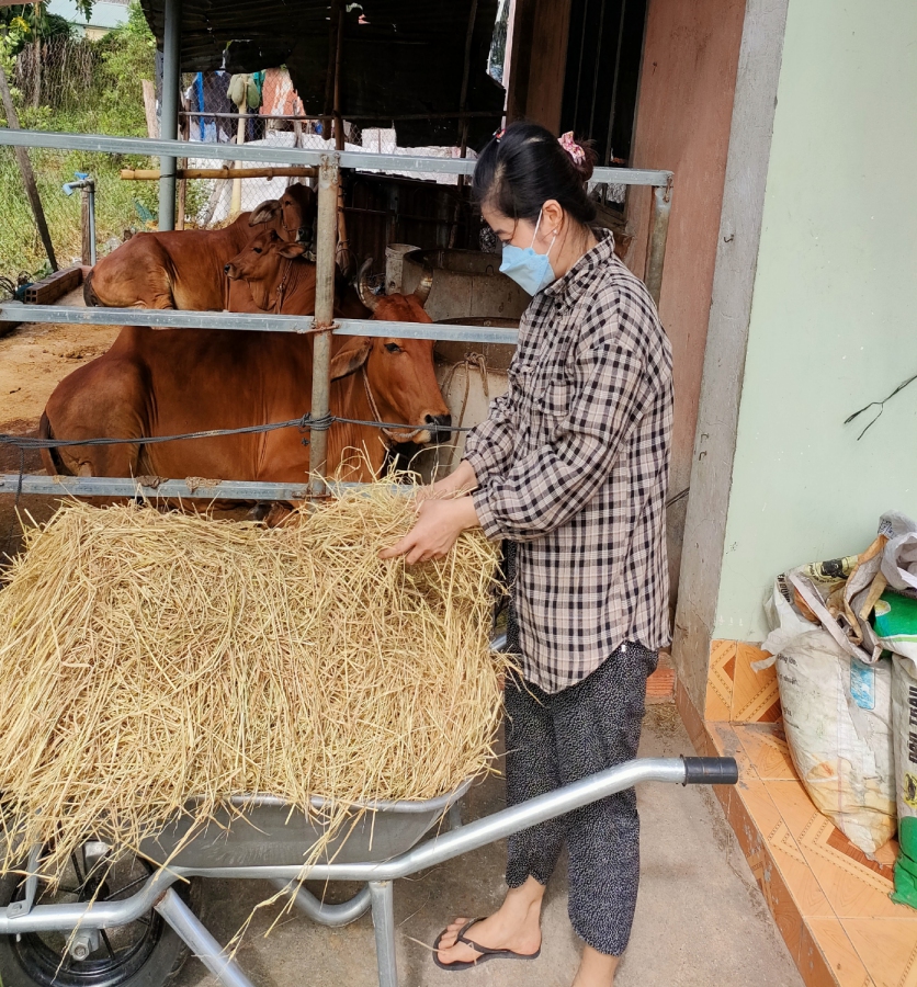 Vươn lên thoát nghèo từ nguồn vốn vay Ngân hàng Chính sách xã hội huyện Bến Cầu và nguồn vốn khởi nghiệp của Hội