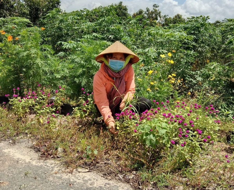 Gương điển hình thực hiện Cuộc vận động “Xây dựng gia đình 5 không, 3 sạch” tham gia xây dựng nông thôn mới