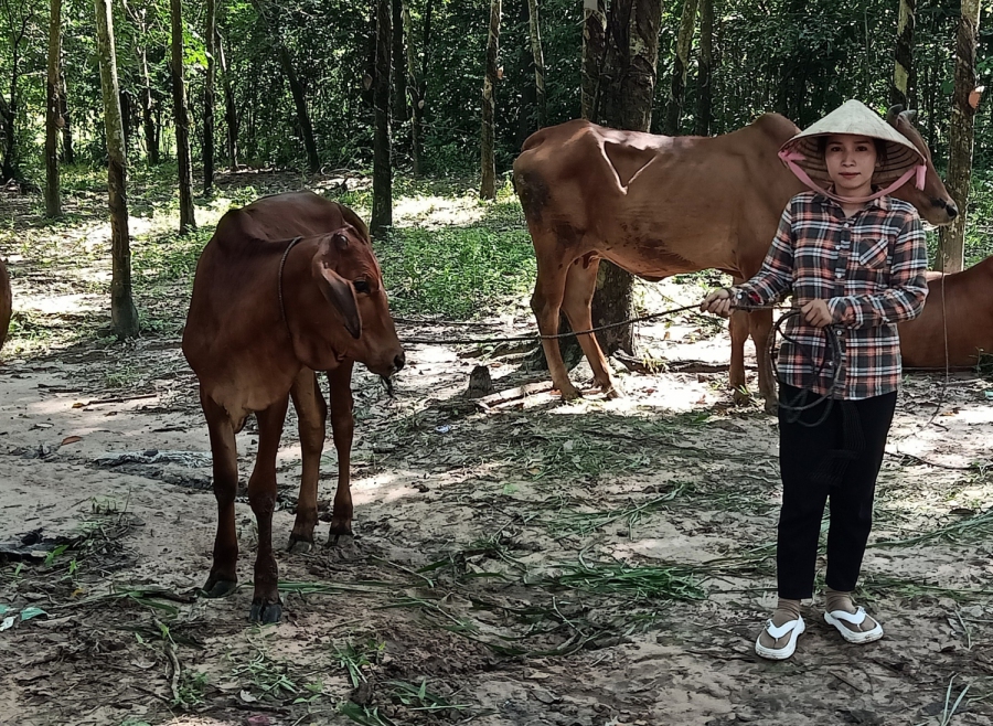 Phụ nữ Khmer vươn lên thoát nghèo bền vững nhờ nguồn vốn vay ưu đãi của Ngân hàng chính sách