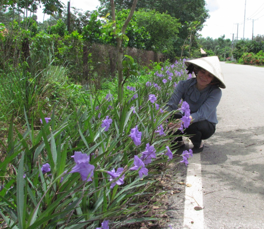 HỘI LHPN PHƯỜNG LỘC HƯNG TÍCH CỰC GÓP PHẦN XÂY DỰNG ĐÔ THỊ VĂN MINH