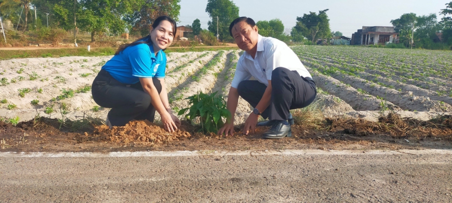 Hội LHPN thị xã Trảng Bàng ra quân trồng tuyến đường hoa