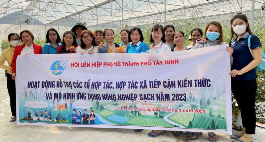 Hội LHPN Thành phố Tây Ninh tổ chức hoạt động hỗ trợ các Tổ hợp tác, Hợp tác xã tiếp cận kiến thức và mô hình ứng dụng nông nghiệp sạch