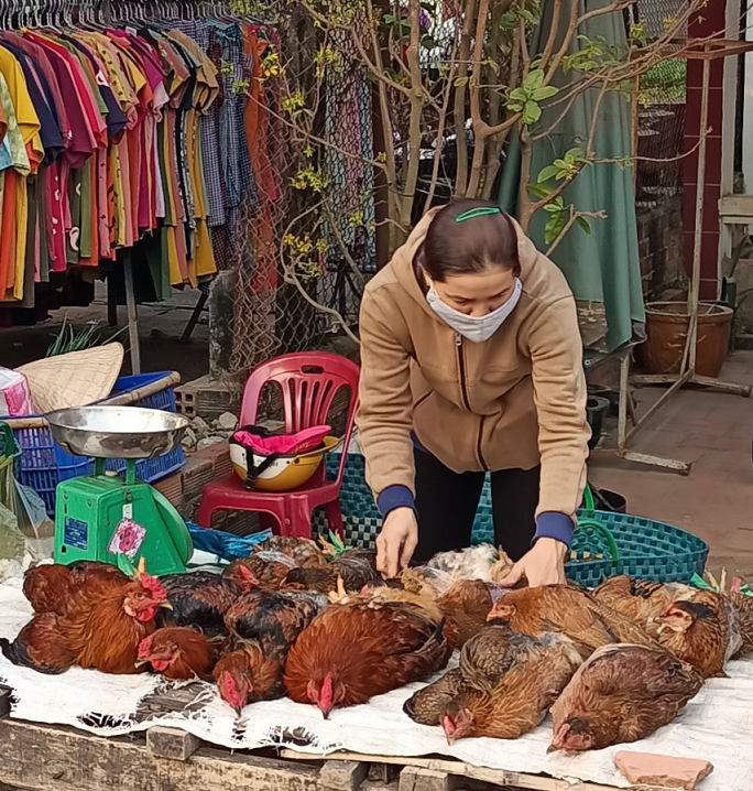 Thoát nghèo từ nguồn vốn Ngân hàng Chính sách xã hội huyện