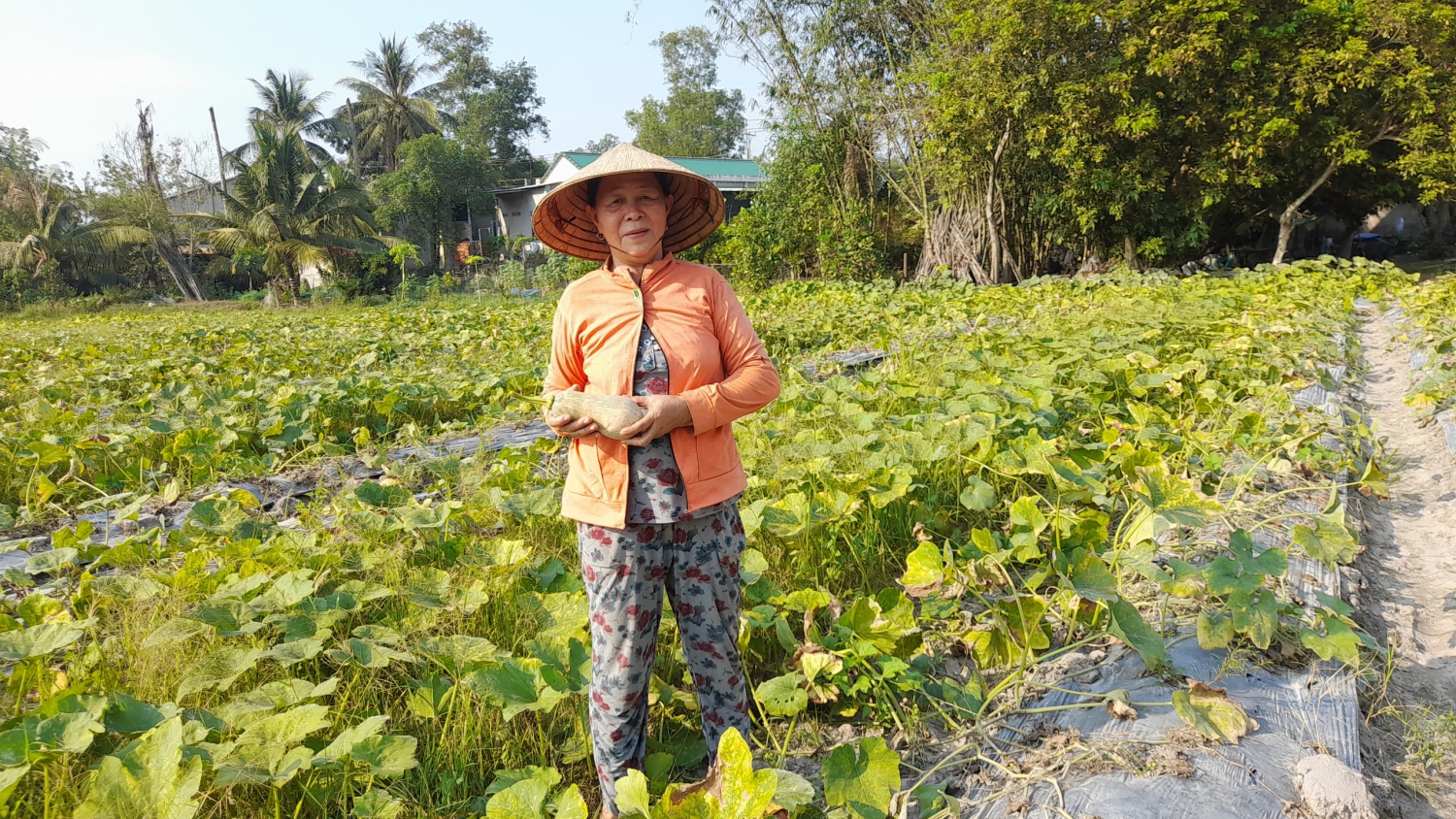 Vượt khó khăn, người phụ nữ vuơn mình làm kinh tế.